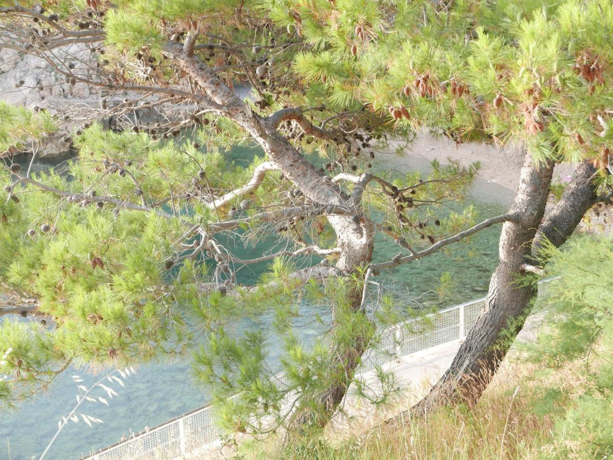 Apartmán Potocina 21 Vrbnik Exteriér fotografie